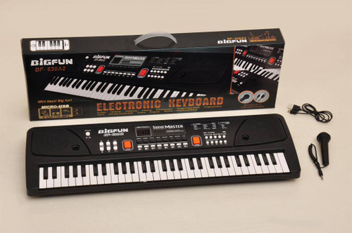 ارگ بیگ فان ۶۳۰